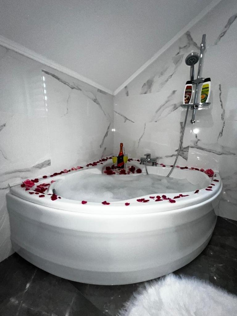 Luxury Apartment Megy Otočac Eksteriør billede