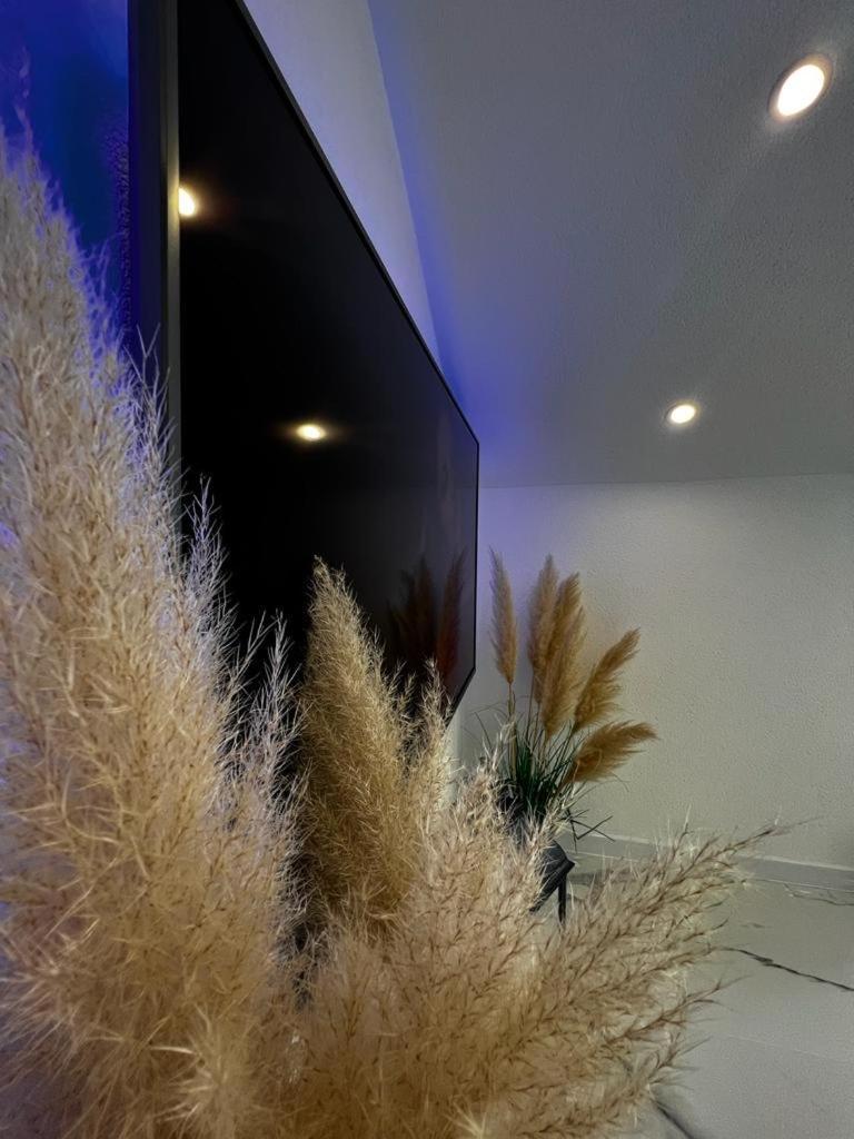 Luxury Apartment Megy Otočac Eksteriør billede